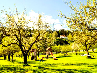 Bild 98 aus Pension Zechnerhof