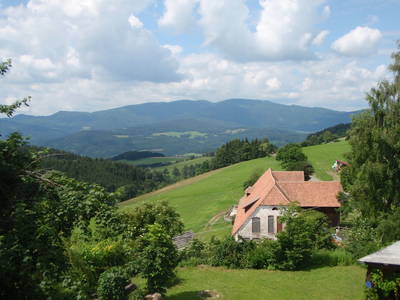 Bild 15 aus  Biobauernhof 'Moar in Greith'