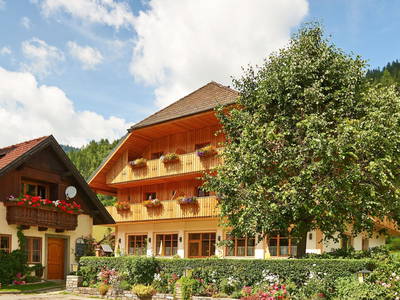 Bild 2 aus  Blasiwirt