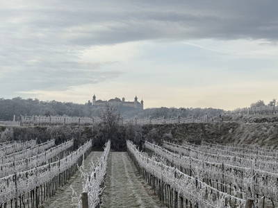 Bild 73 aus  Naturgartenurlaub - Steffis Ferienwohnungen