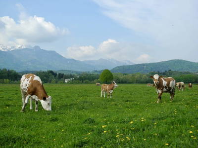 Bild 60 aus  Beim Leben