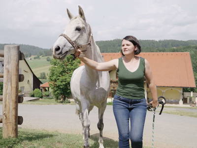 Bild 96 aus  Forstbauer