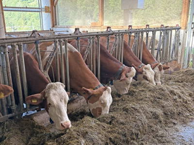 Bild 14 aus  Brettmaisserhof