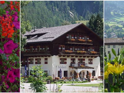 Bild 4 aus  Schlosswirt