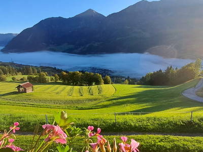 Bild 76 aus  Hartlgut