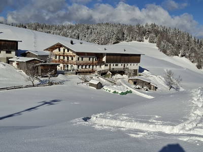 Bild 55 aus  Hinterschwarzenberg