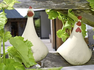 Bild 68 aus  Biohof Mathies