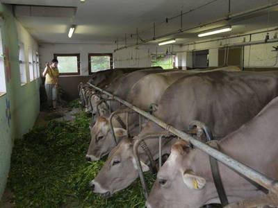 Bild 23 aus  Ferienhof Wiesberg