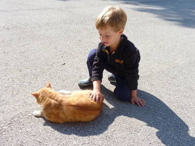 Bild 38 aus  Stückler - Hütte