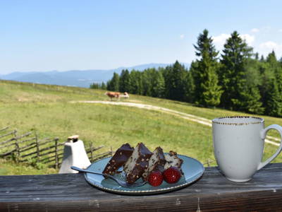 Bild 14 aus  Ebnerhütte