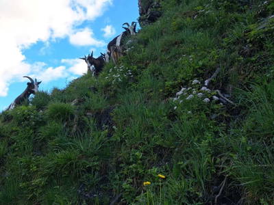 Bild 27 aus  Voithof