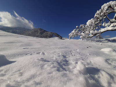 Bild 50 aus  Kaserer