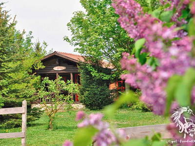 Bild 20 aus  Gut Friedenthal