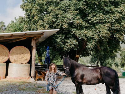 Bild 13 aus  Andis Reiterstüberl