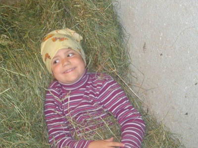 Bild 26 aus  Hanserhof-Ferienhaus