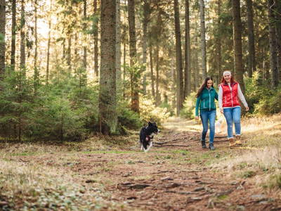 Bild 65 aus  Unplugged Almhütte "Waldbauer" in Alleinlage