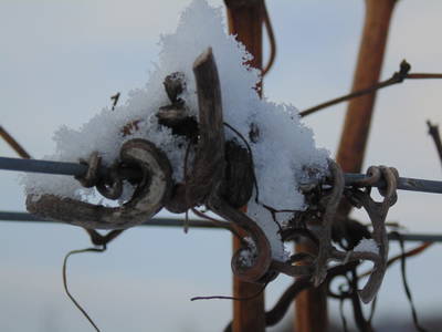 Bild 26 aus  Schmankerl und Gast Heiderer