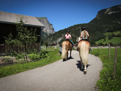 Bild 18 aus  Haus Bergquell mit Pferdestall