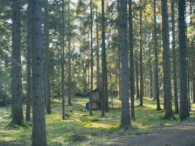 Bild 45 aus  St. Annahof