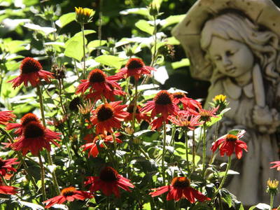 Bild 27 aus  Dichtlhof