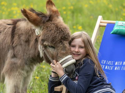 Bild 143 aus  Forstbauer