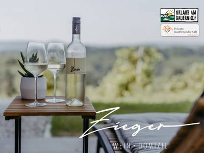 Bild 51 aus  Wein Domizil Zieger