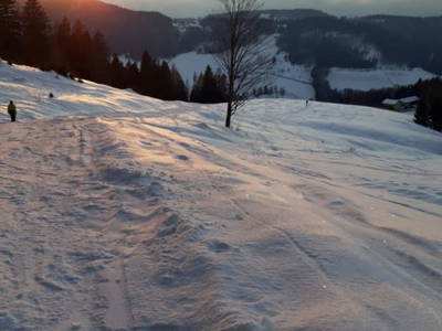 Bild 76 aus  Ferienhaus Untergrünweg