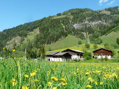 Bild 2 aus  Steinbachhof in Rauris