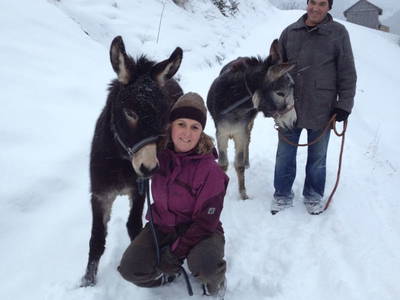 Bild 124 aus  Rimmlhof & Rimmlstube