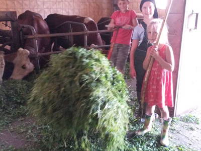 Bild 11 aus  Unteres Feld