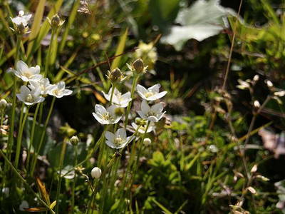 Bild 14 aus  Eselhof Le Certeau