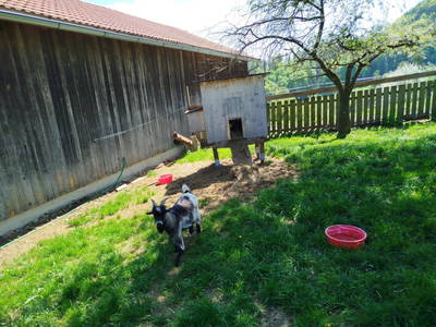 Bild 127 aus Promschhof