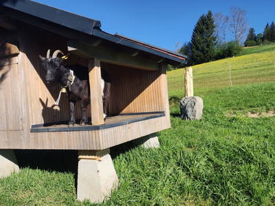 Bild 22 aus  Weitblickhof Roth