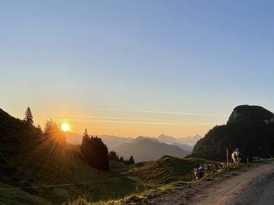 Bild 20 aus  Raineralm