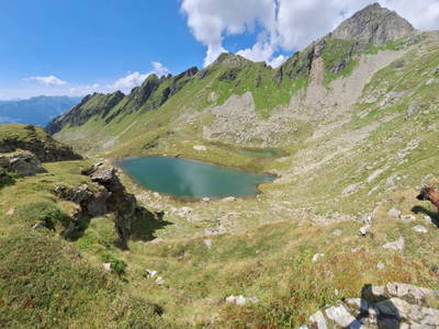 Bild 101 aus  Almhütte Pucher