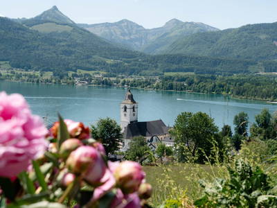 Bild 18 aus  Altroiterhof 