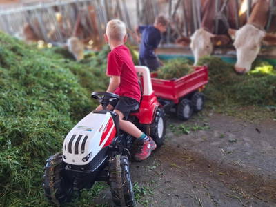 Bild 9 aus  Unteres Feld