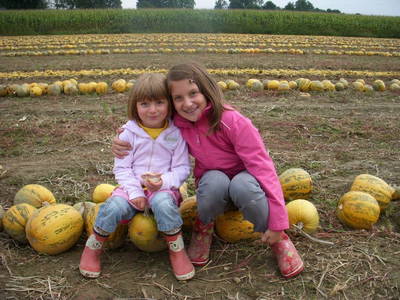 Bild 45 aus  Kürbishof 