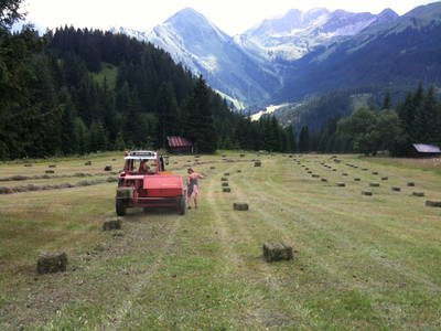 Bild 100 aus  Rimmlhof & Rimmlstube