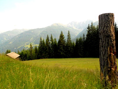 Bild 15 aus Almhütte - Bei der Gose