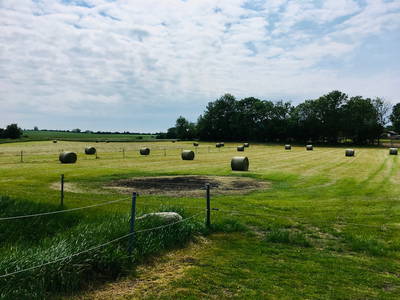 Bild 39 aus  Ferienhof Presener Deichkrone