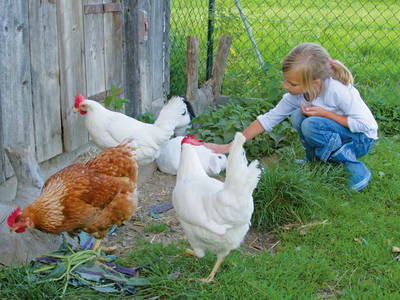 Bild 21 aus  Martinshof