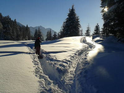 Bild 36 aus  Landhaus Alt mit  Bauernhof* Gesundes Wohnen In Freier Natur* Tolle-Angebote *Bergbahn Unlimited*
