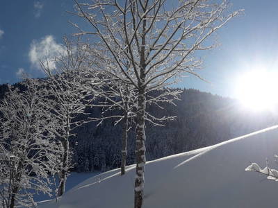 Bild 81 aus  Ferienhaus Althagerhof