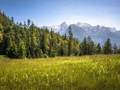 Bild 22 aus  Bachrain - Bio am Berg 