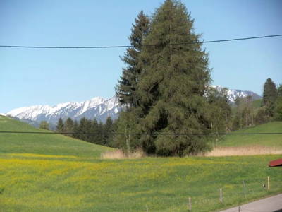 Bild 13 aus  Ferienwohnung Landhaus Waltner