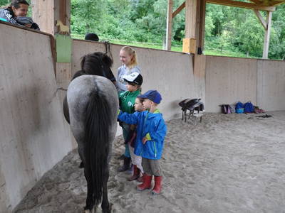 Bild 35 aus  Hof zu Steinern