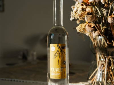 Bild 188 aus  Vitalhof Roithinger