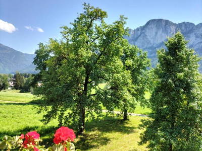 Bild 14 aus  Ferienwohnungen Widlroither (Kogler)