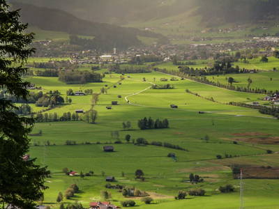 Bild 21 aus  Egglbauer